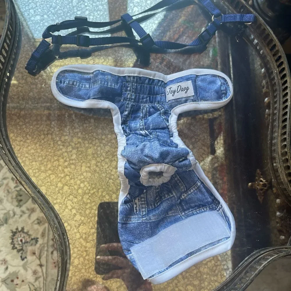 Joy Daog navy harness